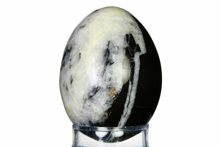 Polished Black and White Marble/Calcite Egg - Utah #322434
